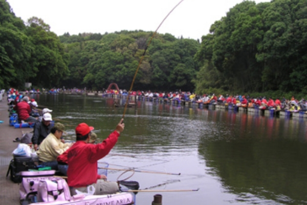 先代と金子さん